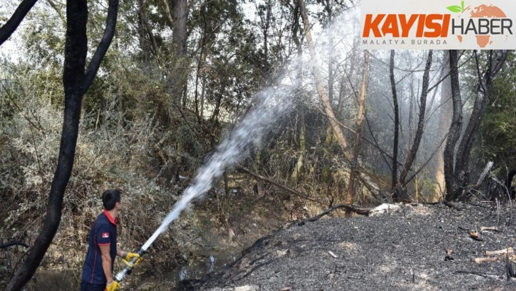 Odunlukta başlayan yangın 10 hektar alanı küle çevirdi