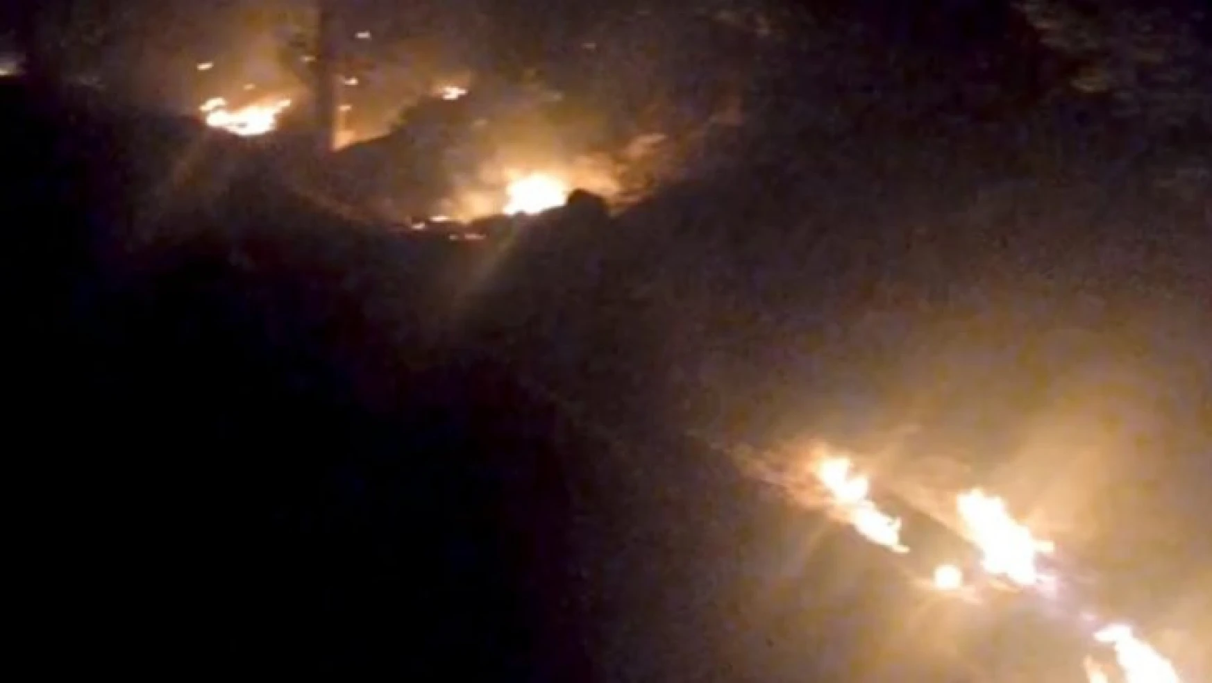 Orman yangınında 2 hektarlık alan yandı