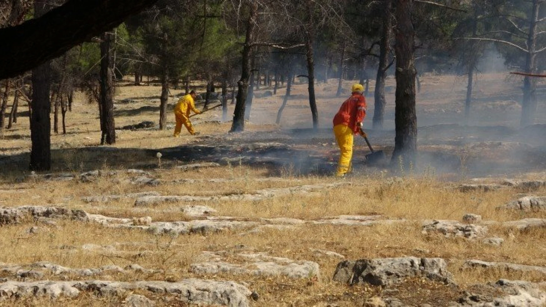 Ormanlık alanda korkutan yangın