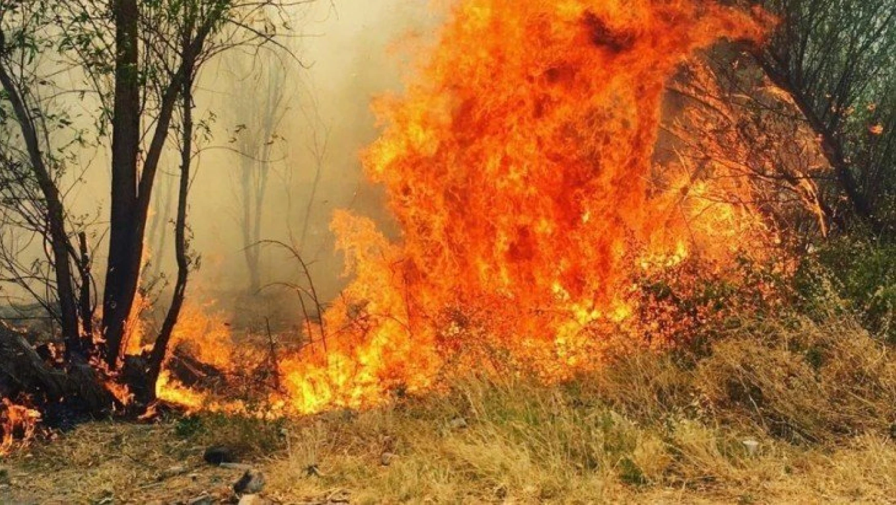 Ormanlık bölgede çıkan yangın korkuttu