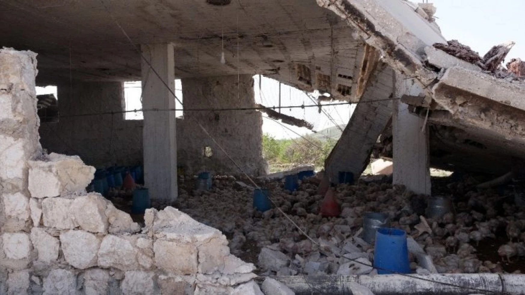 Rus uçaklarının bombardımanı İdlib'te bir aileyi yok etti