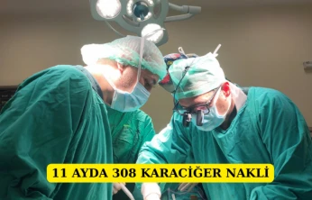 11 ayda 308 karaciğer nakli