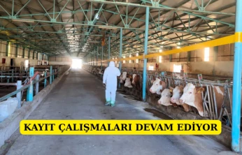 Kayıt çalışmaları devam ediyor