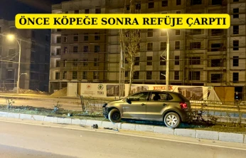 Önce köpeğe sonra refüje çarptı