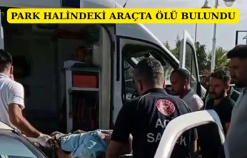 Park halindeki araçta ölü bulundu