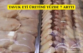 Tavuk eti üretimi yüzde 7,1 arttı
