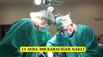 11 ayda 308 karaciğer nakli