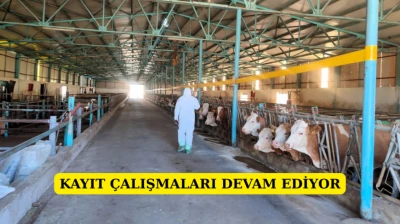 Kayıt çalışmaları devam ediyor