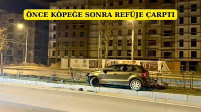 Önce köpeğe sonra refüje çarptı