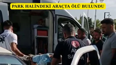 Park halindeki araçta ölü bulundu