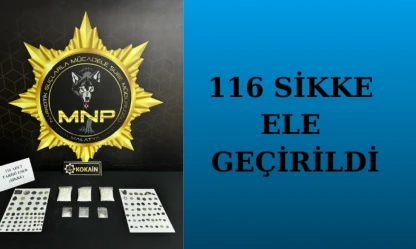116 sikke ele geçirildi
