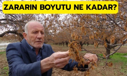 Zararın boyutu ne kadar?