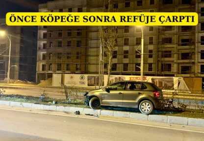 Önce köpeğe sonra refüje çarptı