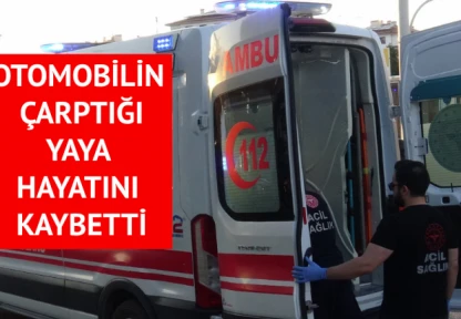 Otomobilin çarptığı yaya hayatını kaybetti