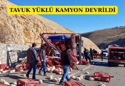 Tavuk Yüklü Kamyon Devrildi