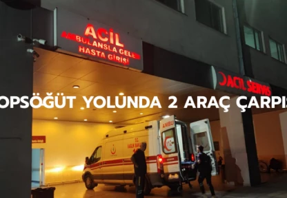 Topsöğüt yolunda 2 araç çarpıştı