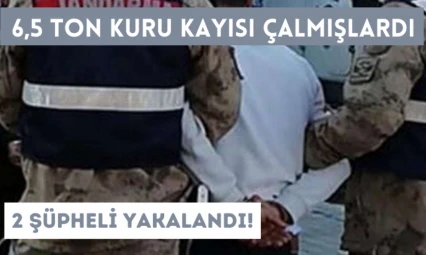 6,5 ton kuru kayısı çalmışlardı