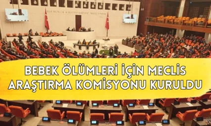 Bebek ölümleri için Meclis Araştırma Komisyonu kuruldu