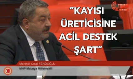 Fendoğlu: Kayısı üreticisine acil destek şart