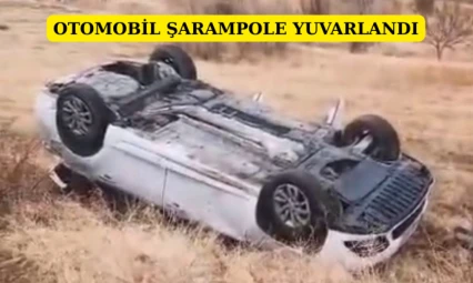 Hekimhan'da Otomobil Şarampole Yuvarlandı
