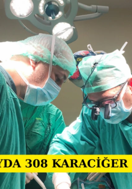 11 ayda 308 karaciğer nakli