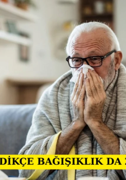 Yaş ilerledikçe bağışıklık da zayıflıyor