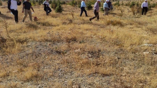 '5 bin çınar 5 bin çam' fidan bağışı kampanyası