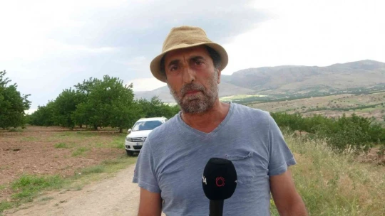 'Emeğim çok' deyip onlarca kayısı ağacını kökünden söktü