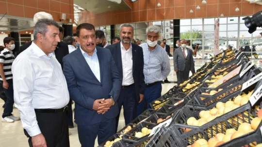 'En iyi yaş kayısı' yarışması yapıldı