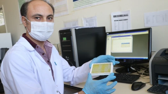 'Sabun bile yapamazlar' dendi antikor test kiti geliştirdiler