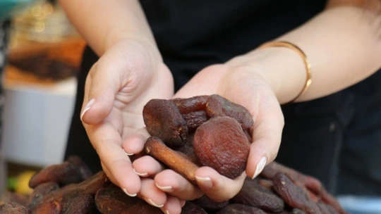 Hedef Uzak Doğu ve Brezilya'da ihracatı arttırmak