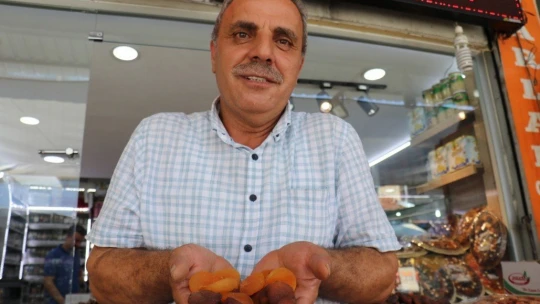 Hedef Uzak Doğu ve Brezilya'da ihracatı arttırmak