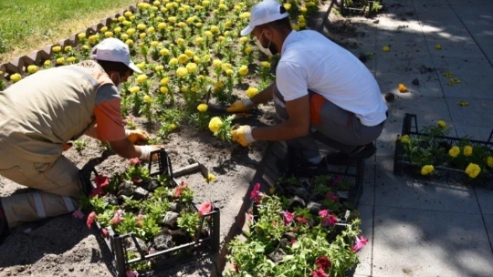 2 milyon 470 bin metrekare yeşil alana bakım