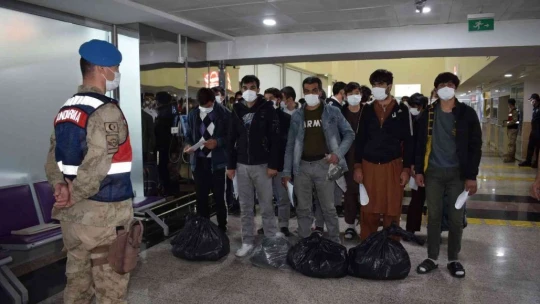 227 kaçak göçmen daha sınır dışı edildi