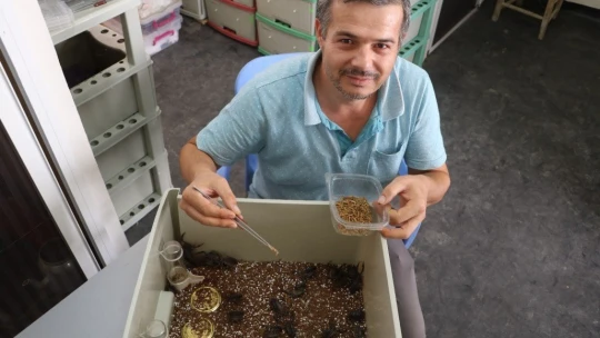 300 akreple başladı, hedefi yurt dışına zehir satmak