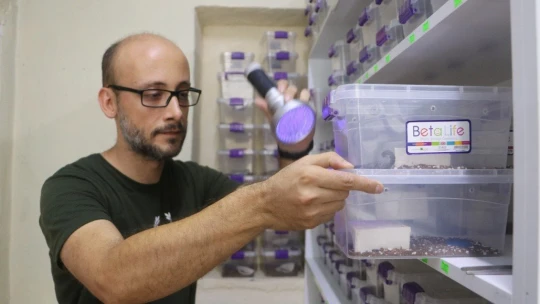 300 akreple başladı, hedefi yurt dışına zehir satmak