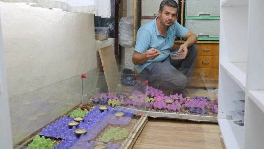 300 akreple başladı, hedefi yurt dışına zehir satmak