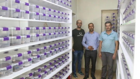 300 akreple başladı, hedefi yurt dışına zehir satmak