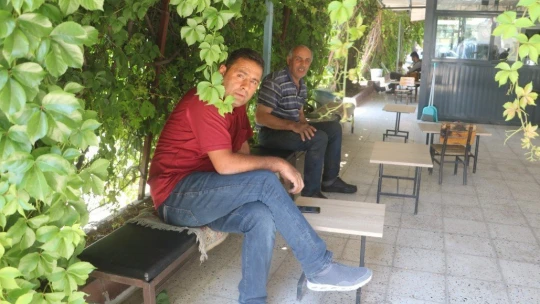 6 yıl önce diktiği sarmaşık iş yerini kapladı