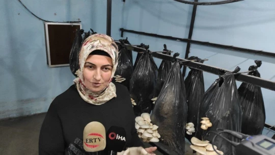 80 TL sermeye ile başladı...