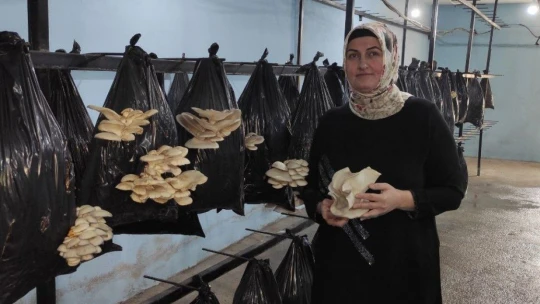 80 TL sermeye ile başladı...