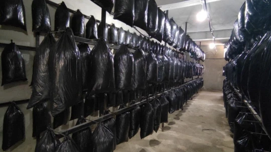 80 TL sermeye ile başladı...