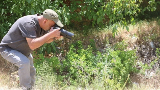 Adım adım gezdiği doğada 150 tür kelebeği fotoğraflamayı başardı