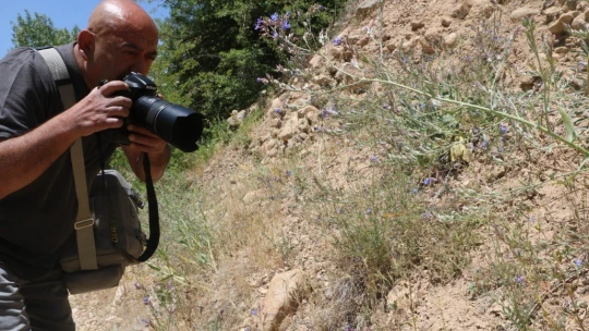 Adım adım gezdiği doğada 150 tür kelebeği fotoğraflamayı başardı