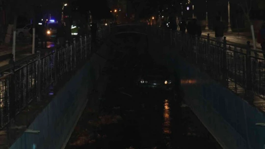 Ağacı yerinden söküp kanala uçtu