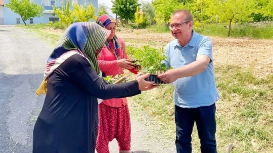 Akçadağ'da 100 bin sebze fidesi dağıtıldı