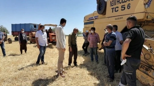 Akçadağ'da hububat hasadı başladı
