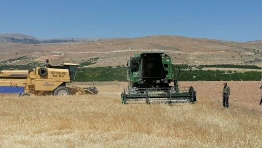 Akçadağ'da hububat hasadı başladı