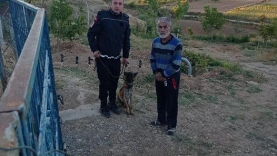 Alzheimer hastası yaşlı şahsı takip köpeği buldu