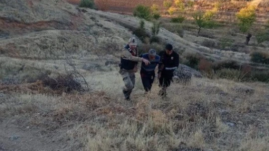 Alzheimer hastası yaşlı şahsı takip köpeği buldu